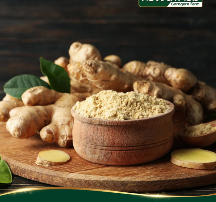 100% Natural Ginger Powder  Pure Thai Ground Ginger