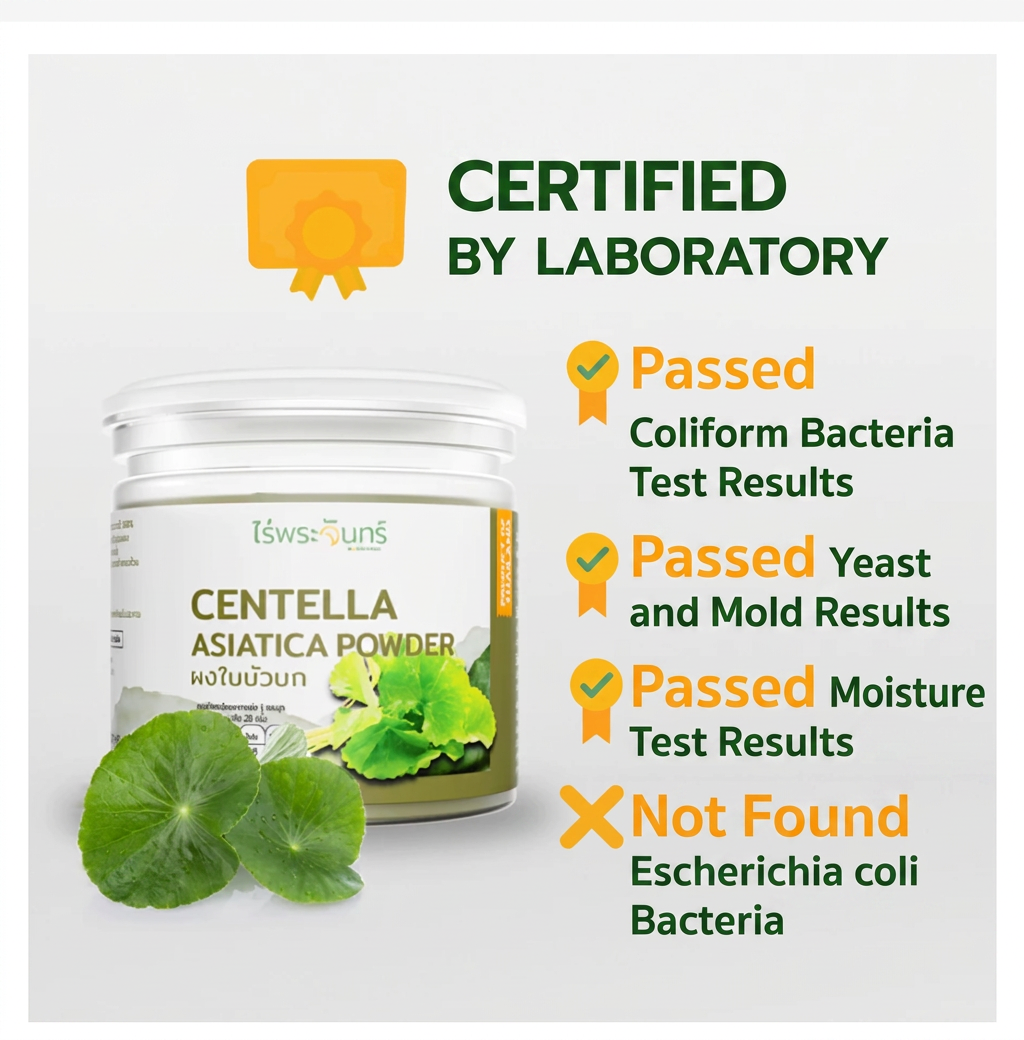 Rai Phra Chan Centella Asiatica Powder – Thai Gotu Kola Leaf Powder 100g