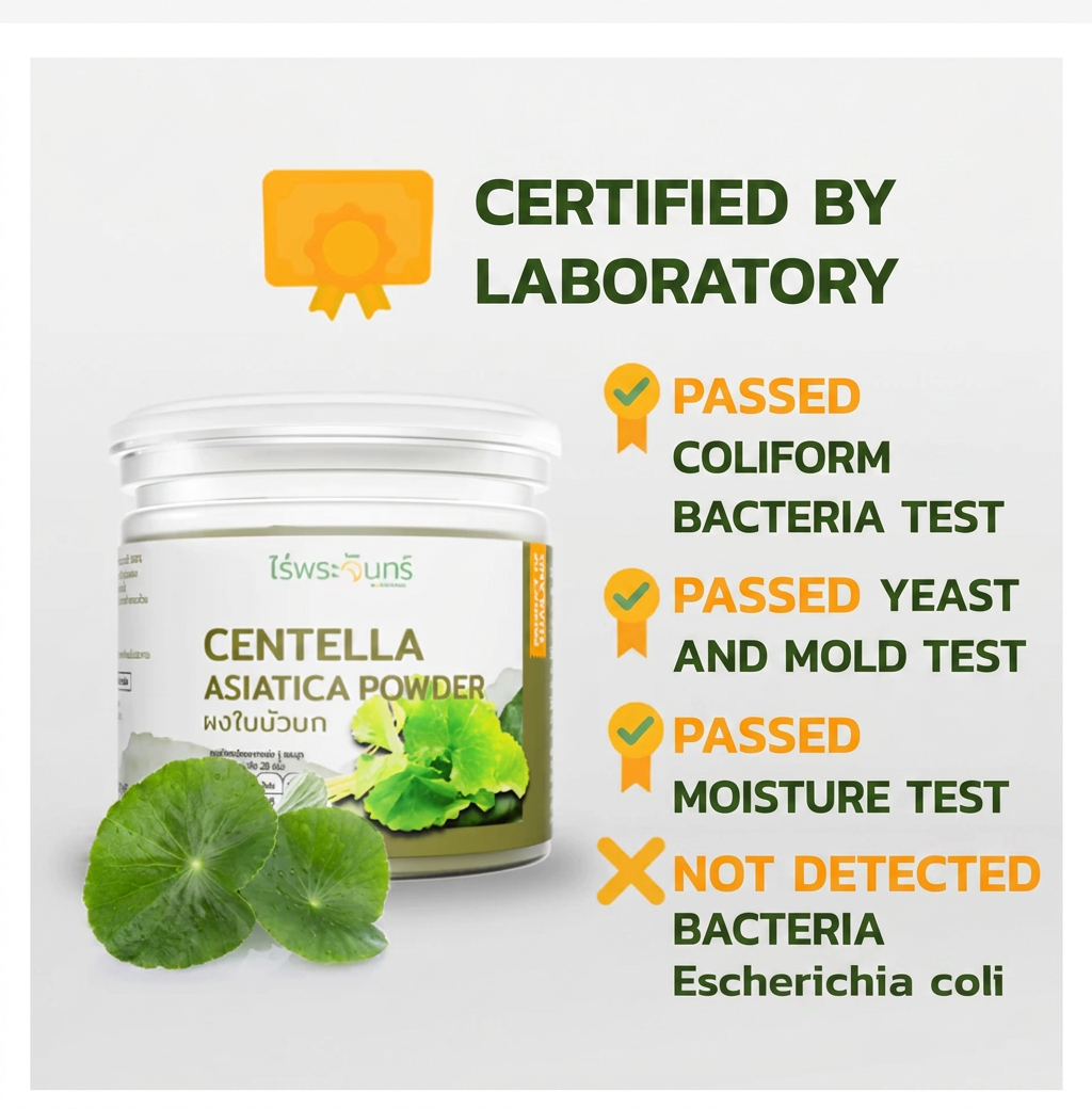 Rai Phra Chan Centella Asiatica Powder – Thai Gotu Kola Leaf Powder 100g