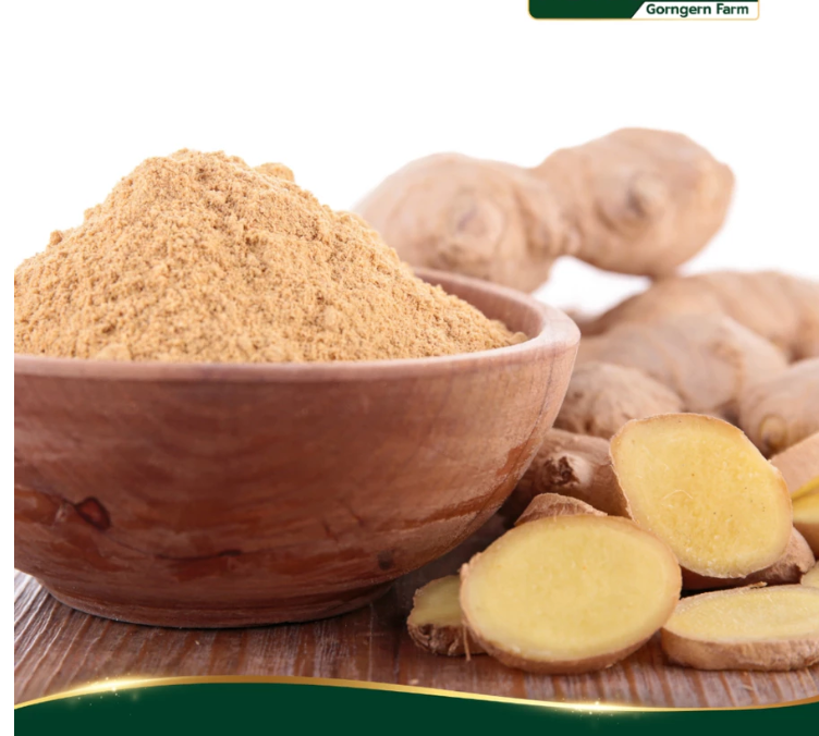 100% Natural Ginger Powder  Pure Thai Ground Ginger