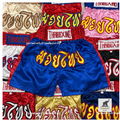 Kids Muay Thai Shorts Lightweight Boxing Training Shorts Youth Sizes