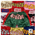 Kids Muay Thai Shorts Lightweight Boxing Training Shorts Youth Sizes