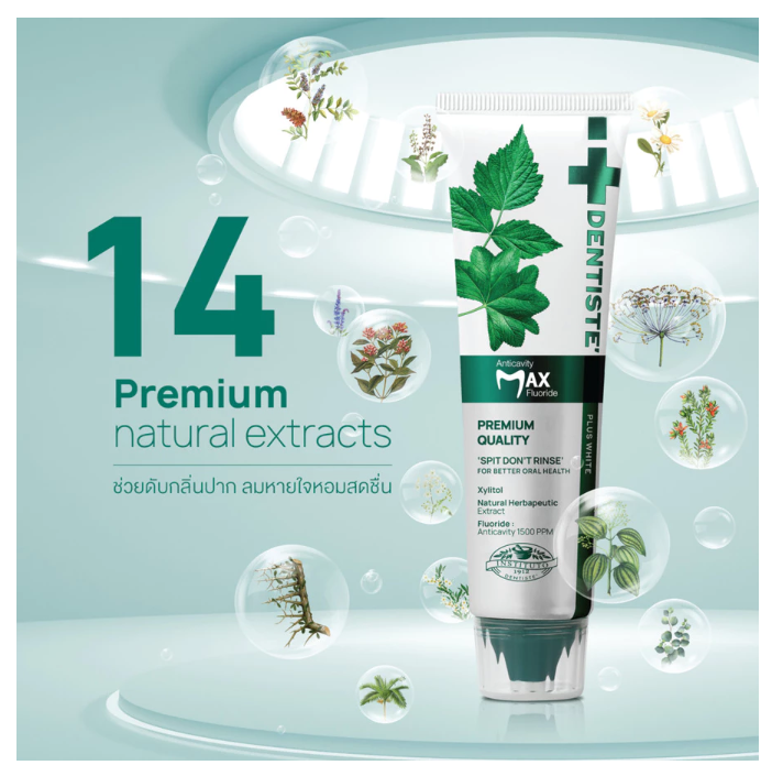 Dentiste Natural Toothpaste 14 Herbal Extracts Fresh Breath Daily Care