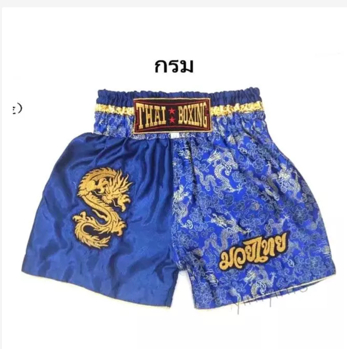 Dragon Embroidered Muay Thai Shorts