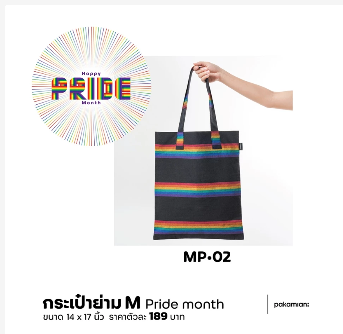 Pride Rainbow Tote Bag, Handmade Cotton Shoulder Bag