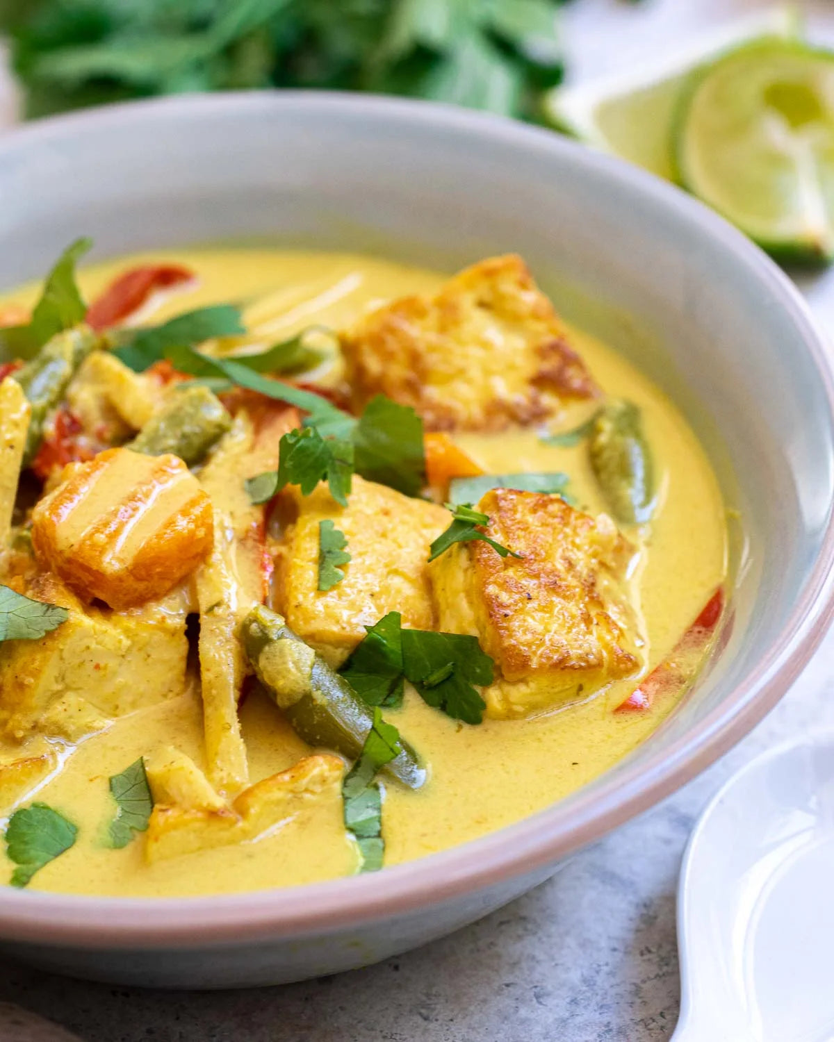 Blue Elephant Yellow Curry Paste Authentic Thai Cooking PasteBlue Elephant Yellow Curry Paste Authentic Thai Cooking Paste