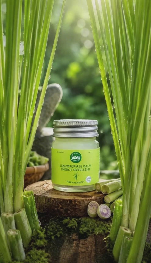 Lemongrass Balm Set Natural Herbal Balm 4 Jars Refreshing & Soothing
